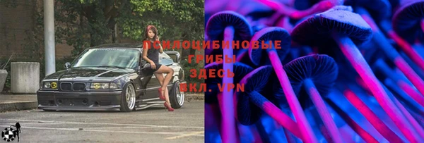 круглые Алзамай