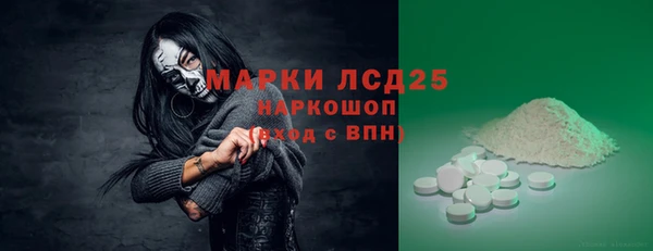 стаф Алексин
