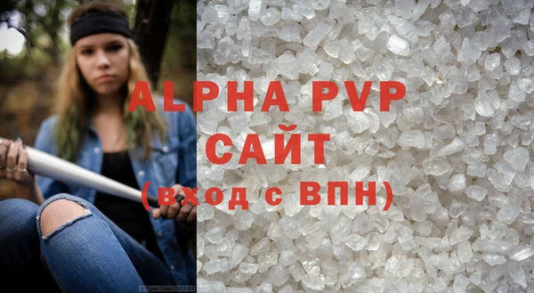стаф Алексин