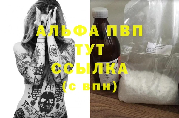 стаф Алексин