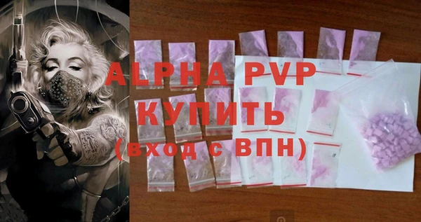 стаф Алексин