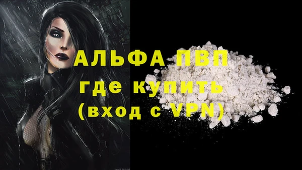 стаф Алексин