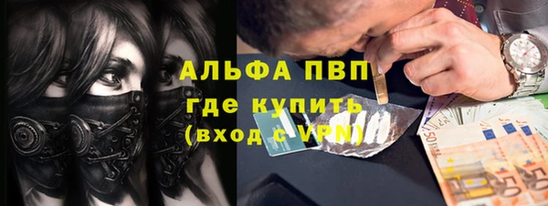 стаф Алексин