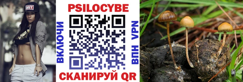 Псилоцибиновые грибы Psilocybe  Мамоново 