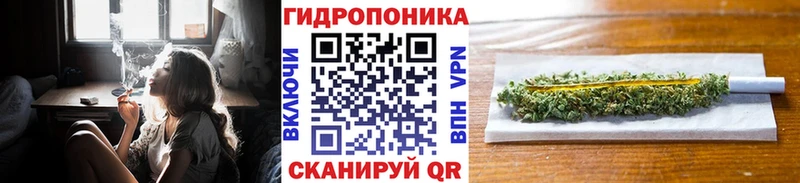 Шишки марихуана Amnesia  Мамоново 
